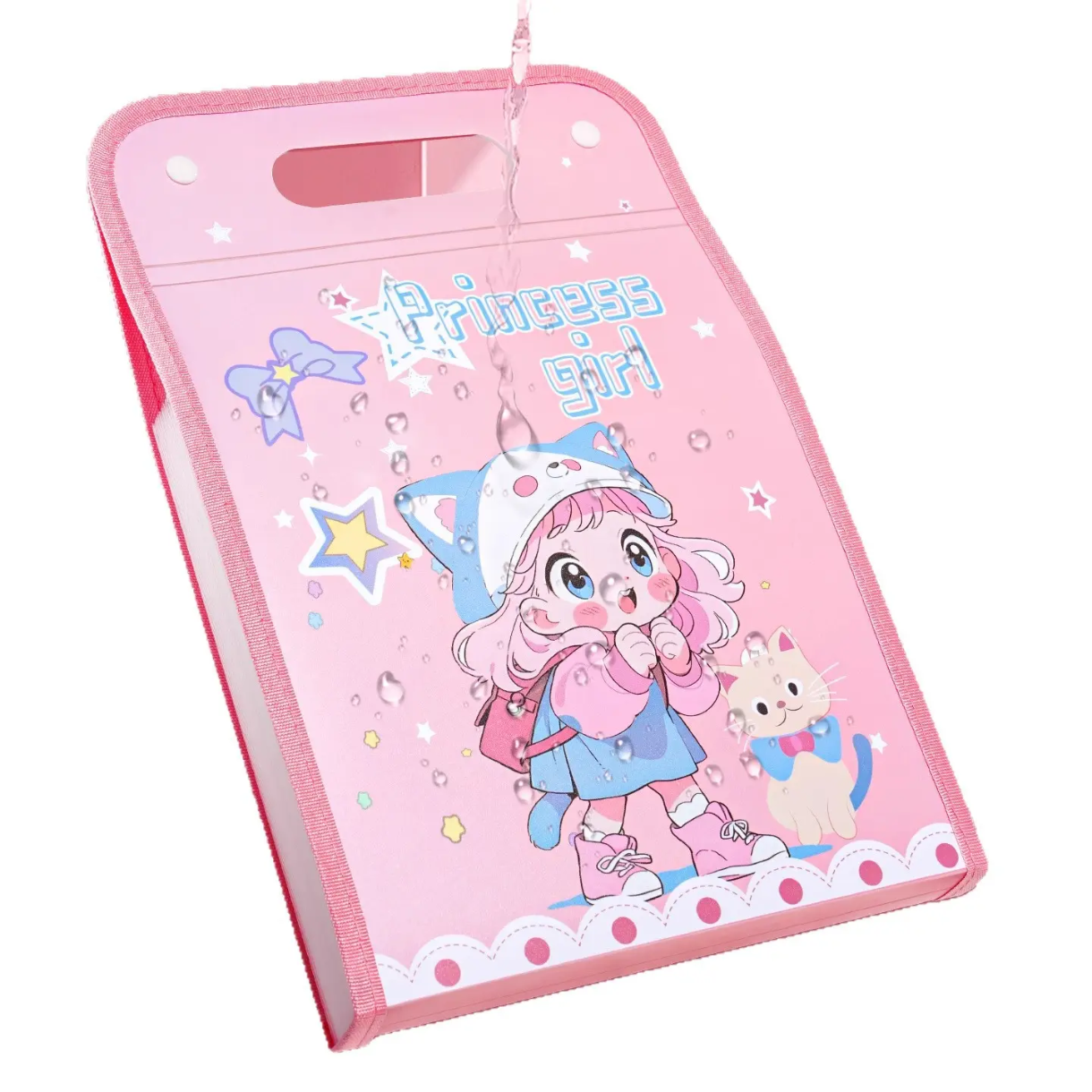 Document File Folder