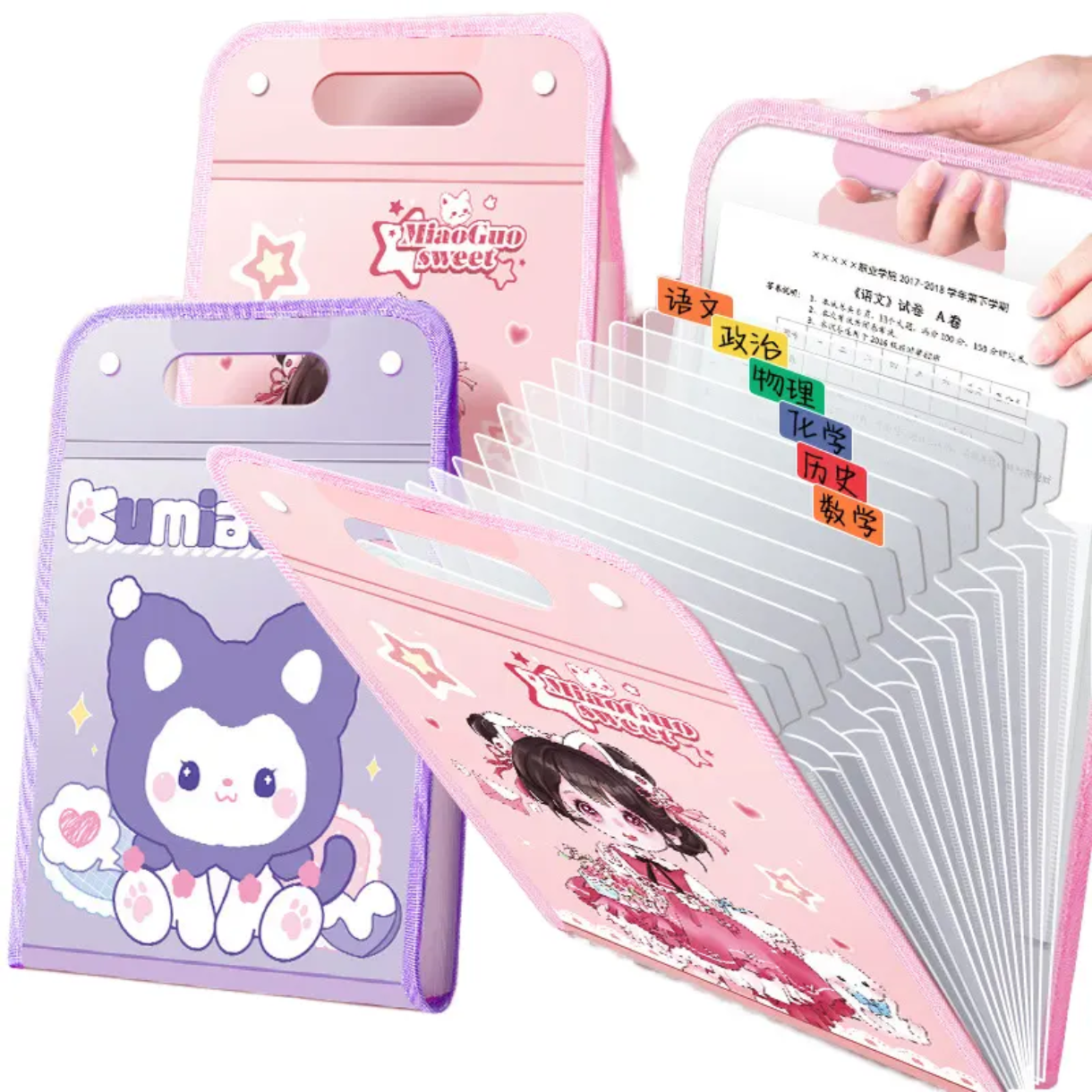 Document File Folder